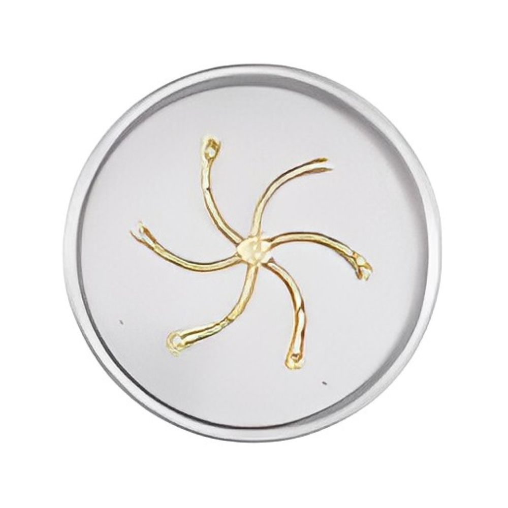 The Outdoor Plus Round Flat Pan and Brass Triple 'S' Bullet Burner-Upper Livin